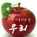 대양판지(주) 이미지
