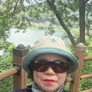 고향 친구 남 2명하고 대청댐 ㅡ우연 송어회집 에서 점심 먹고대청댐 500 리길 2키로걷고 커피 마시고 대청댐공원주차장 매점 이미지
