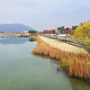 세종호수공원 이미지