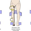 교정요가 이미지