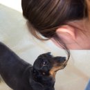 동인동물병원 이미지