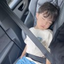 섬사우나 이미지