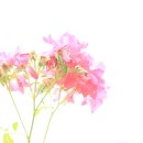 청인법무사법인 - 서구 둔산중로78번길 30 | 청인법무사법인
