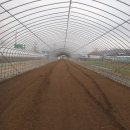 햇살농장2 이미지