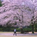 동산제1호 이미지