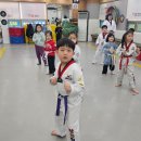 일곡태권도 이미지