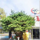 한우천국늑대장어 이미지