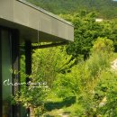 창우식당 이미지