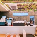 할로브리즈 이미지