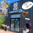 미용하러오개 이미지