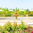 일월수목원전시온실 이미지