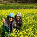 파독전시관 이미지