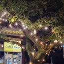 미수해안로 이미지