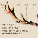 수정수진2-A-20 | 다한방 다이어트 효과 부작용 후기 가격까지 총정리