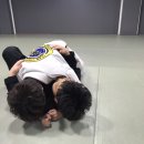 구로주짓수&MMA, 레슬링 이미지