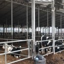 한터목장1 이미지