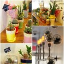 봄앤봄 플라워 카페 이미지