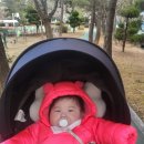 구슬비 공원 이미지