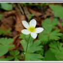 청옥산민박 이미지