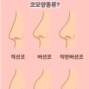 니코복코 네이버블로그