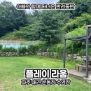 구민운동장 맞은편 우측 | 파주 강아지 대관 애견운동장 수영장까지 플레이라움 후기