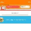 우드볼장 | [펫츠비] ZiBro 웅아...넌..내손바닥 안!