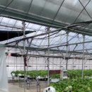 강경농장 이미지