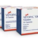 강앤정 동물병원 이미지