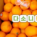 내산농장 이미지