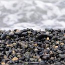 주전마을 이미지