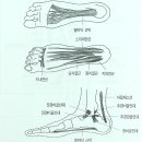 걷기에 생각나는 것들 - 중요한 건강정보 이미지