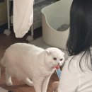 선유빵집