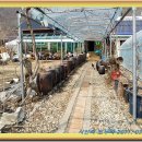 삼용2리 이미지