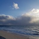 다포회타운 | 대천횟집 다포 자연산회가 쫄깃