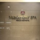 이화메디케어 | •미즈고데이스파• 을지로피부관리 윤곽관리 후기