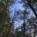 용담추어탕 | [등산일기] 청주 등산 상당산성 낮등 3번 도전