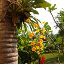 호텔레인보우 이미지