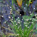 곡정초등학교 이미지