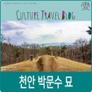 임호부분정비 | 천안 가볼만한 곳, 천안 박문수 묘.