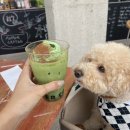 시즈닝 페퍼 이미지