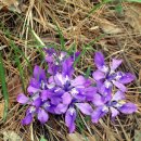 마음에고향 이미지