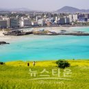 돌하루팡