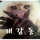프로손세차 네이버블로그