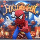 태비태권도 이미지