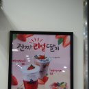 탭플레이홈플러스