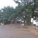 장산억새밭 이미지