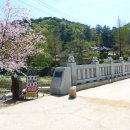 (08/16) 걷기좋은 홍천 수타사 산소길과 일요천렵 안내입니다~!! 이미지