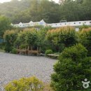 안골농원 이미지