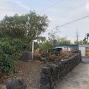 선인장 여관 이미지