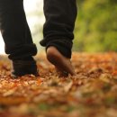 태원농장 이미지